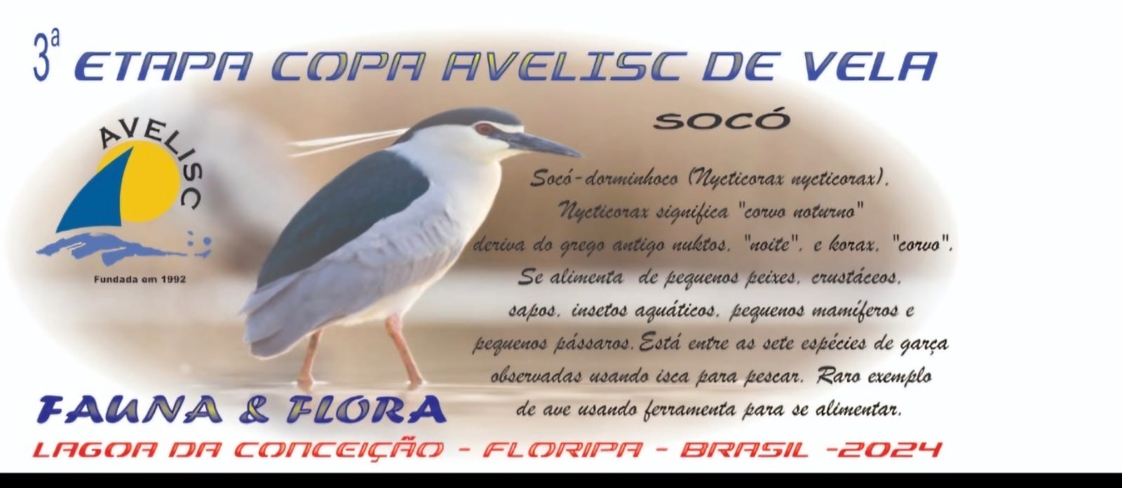 Imagen segunda etapa 2024