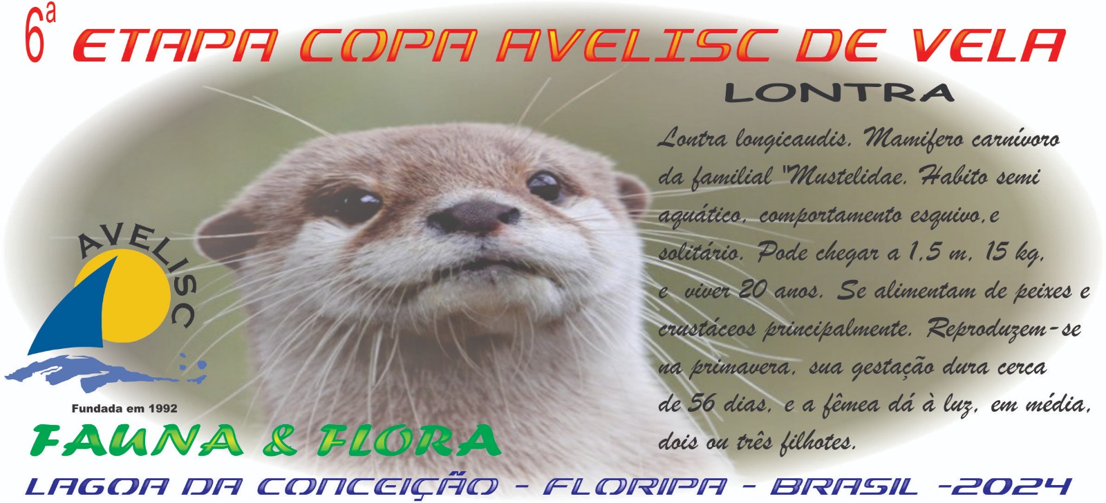 Imagen segunda etapa 2024