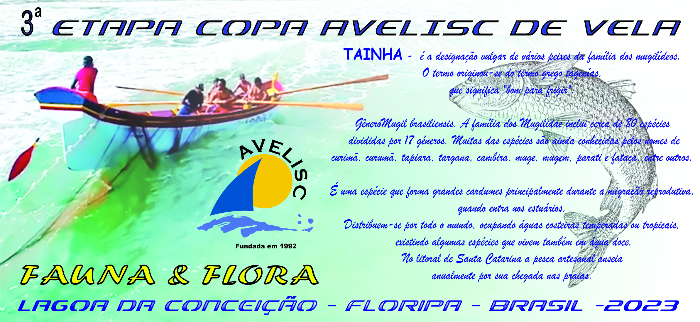 Trofeu etapa 3 2023