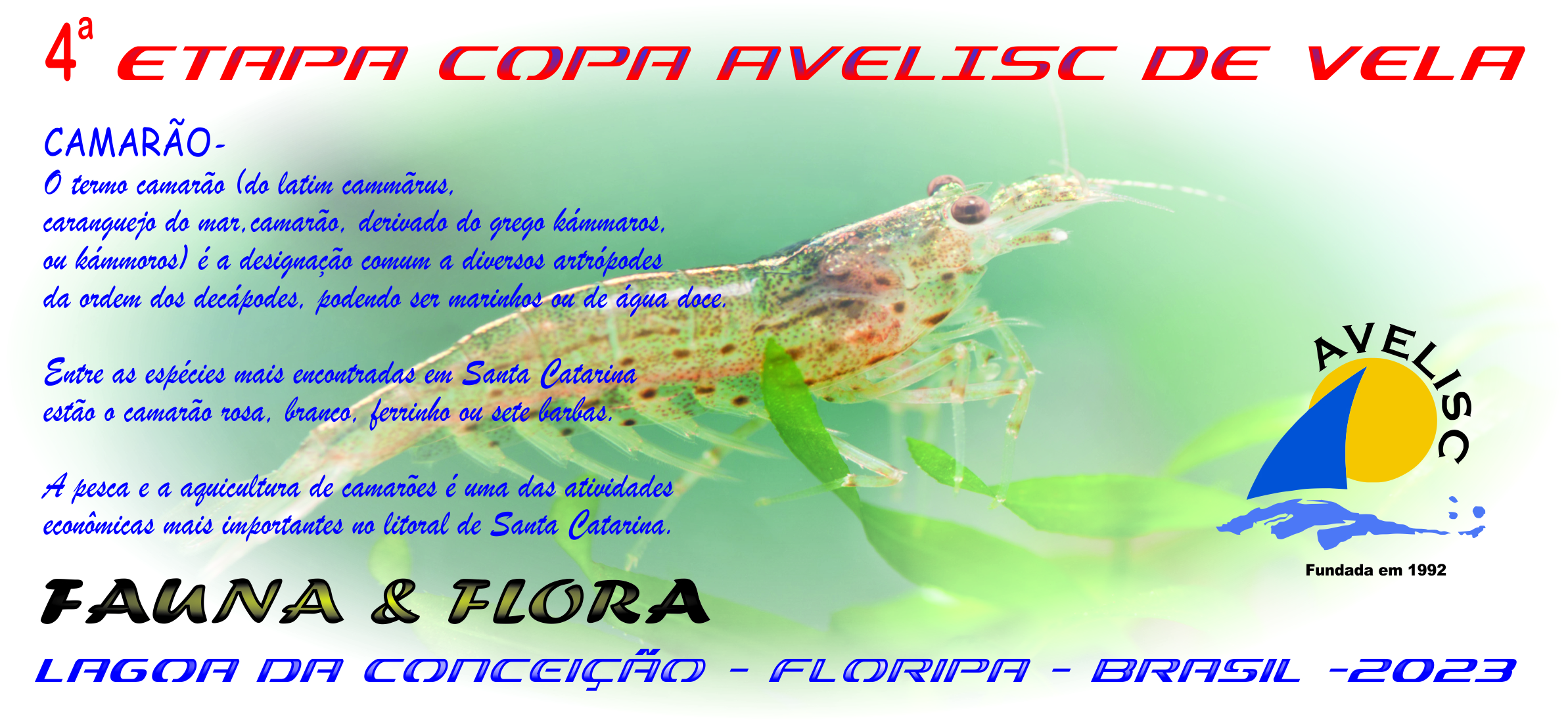 Trofeu etapa 4 2023
